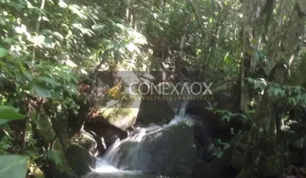 Fazenda à venda na Estrada Cristóvão Machado de Campos, 4407, Vargem Grande, Florianópolis, 60 m2 por R$ 2.800.000
