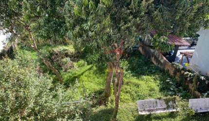 Terreno à venda Santa Teresinha zona norte 750m²