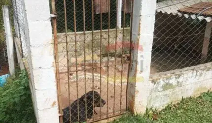 Sítio em Santa Isabel