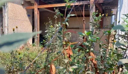 Casa Totalmente  Terrea Santana  - 278 m² de terreno