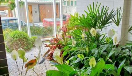 Apartamento no Jardim São Paulo com 2 dormitórios / 1 suíte / 1 vaga