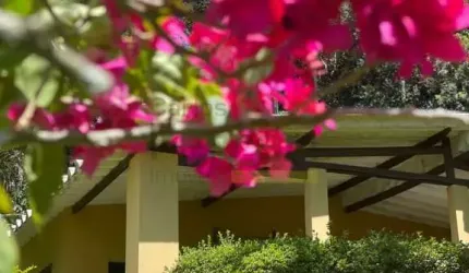 Chacara - Residencial ou Comercial -Suzano