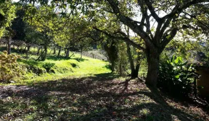 Chácara / sítio com 1 quarto à venda no Desvio Rizzo, Caxias do Sul  por R$ 410.000