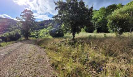 Chácara / sítio com 2 quartos à venda no Santa Lúcia do Piaí, Caxias do Sul  por R$ 90.000