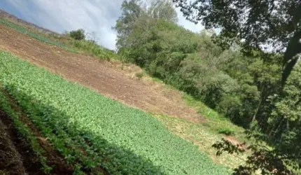 Chácara / sítio à venda no Galópolis, Caxias do Sul  por R$ 200.000