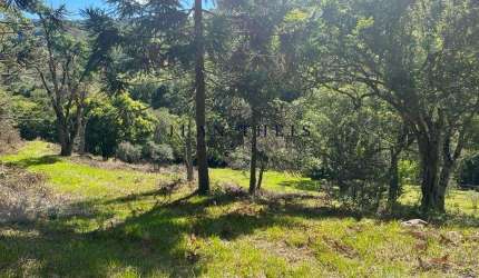 Chácara / sítio à venda na Zona Rural, Caxias do Sul  por R$ 180.000