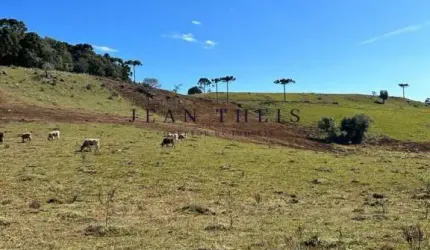 Chácara / sítio com 2 quartos à venda na Vila Seca, Caxias do Sul  por R$ 200.000