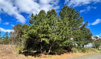 Terreno à venda no São Luiz, Caxias do Sul  por R$ 160.000