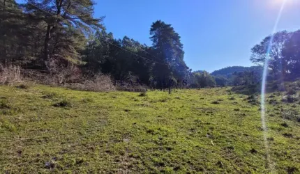 Chácara / sítio com 2 quartos à venda no Monte Bérico, Caxias do Sul  por R$ 560.000