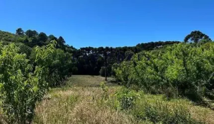 Chácara / sítio com 1 quarto à venda na Fazenda Souza, Caxias do Sul  por R$ 170.000
