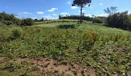 Chácara / sítio com 1 quarto à venda no Nova Sardenha (Distrito), Farroupilha  por R$ 550.000