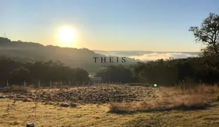 Chácara / sítio com 2 quartos à venda na Zona Rural, Caxias do Sul  por R$ 199.000