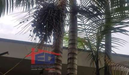 Residencial - Bela Vista