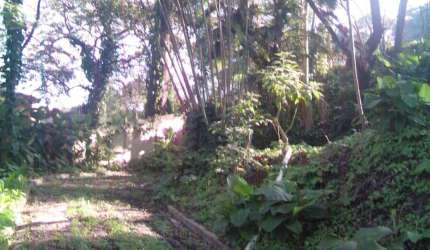 Terreno para Venda em São Paulo, Jardim Vitória Régia