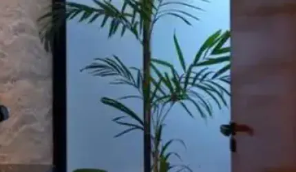 Casa para Venda em São José do Rio Preto, Quinta do Lago Residence, 3 dormitórios, 1 suíte, 5 banheiros, 4 vagas