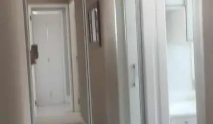 Apartamento para Venda em São Paulo, Nossa Senhora do Ó, 2 dormitórios, 1 suíte, 2 banheiros, 1 vaga