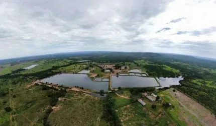 Fazenda/Sítio/Chácara para venda possui 509 hectares - Piscicultura Montada