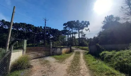 Terreno à venda na Rua Pedro Antoniacomi, Colônia Antônio Prado, Almirante Tamandaré por R$ 4.500.000