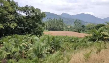 Chácara / sítio com 1 quarto à venda em Garibaldi, Jaraguá do Sul  por R$ 450.000