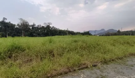 Terreno a venda no centro de Schroeder