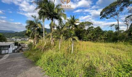 Terreno bairro Ilha da Figueira