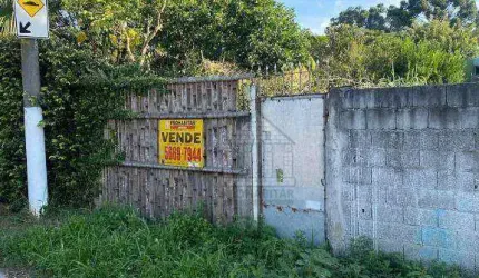 Terreno à venda, 125 m² - Jardim Alviverde - São Paulo/SP