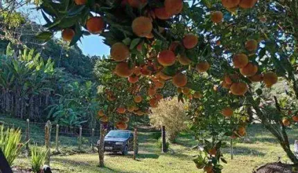 Terreno à venda no Bairro do Cedro, Paraibuna , 1005 m2 por R$ 220.000