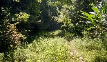 Terreno à venda no Boiçucanga, São Sebastião , 30000 m2 por R$ 650.000