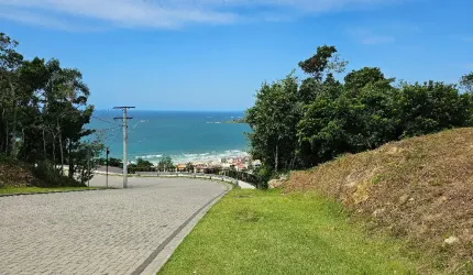 Oportunidade em meia a natureza