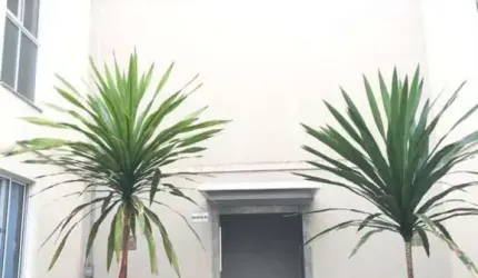 Apartamentos para venda em Sorocaba no bairro Caguaçu