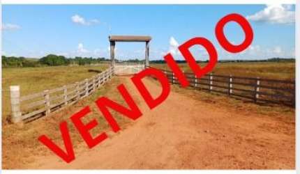 3.692 HECTARES LOCALIZADA EM APUI NA BR 23