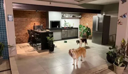 Casa na Vila Santa Cecília - alto padrão