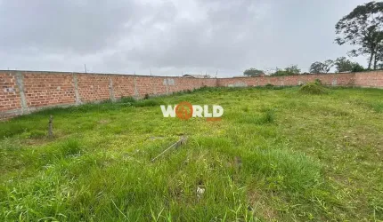 Terreno todo murado