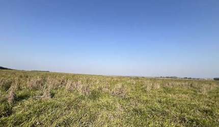 Fazenda com 1 dormitório à venda, 2117500 m² por R$ 13.125.000,00 - Centro - Bofete/SP