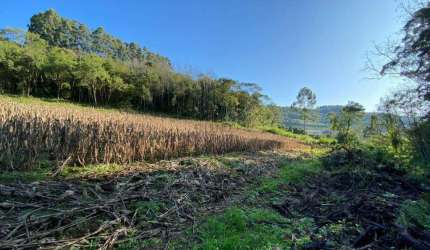 Sítio à venda, 2 quartos, São Roque de Castro - Boa Vista do Sul/RS