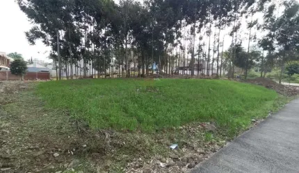 Terreno à venda, Universitário - Bento Gonçalves/RS