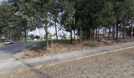 Terreno à venda, Universitário - Bento Gonçalves/RS
