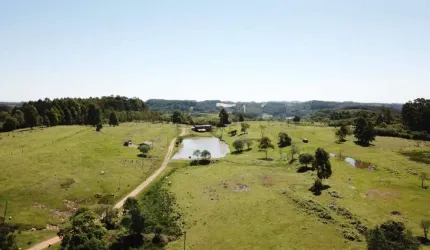 Sítio à venda, Nova Sardenha - Farroupilha/RS