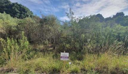 Lindo terreno lote 86 Loteamento Reserva das Araucárias