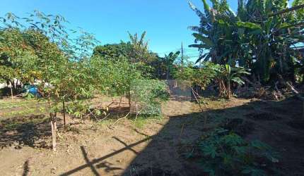 Terreno à venda, 228 m² por R$ 250.000 - Praia das Palmeiras - Caraguatatuba/SP
