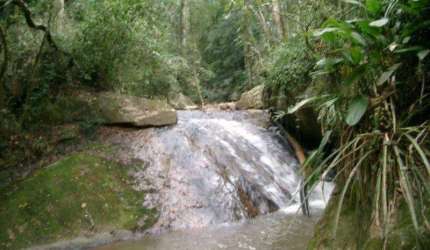 Chácara / sítio com 1 quarto à venda na Estrada Pedreira Km 8, km 7, Sousas, Campinas, 20000 m2 por R$ 1.500.000