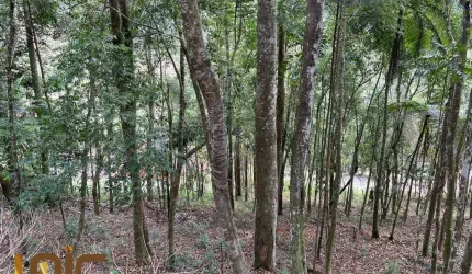 Terreno à venda, 1296 m² por R$ 230.000,00 - Parque do Imbui - Teresópolis/RJ