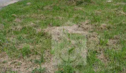 Terreno à venda, 240 m² por R$ 120.000 - Pindobas - Maricá/RJ