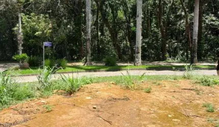 Terreno à Venda no Condomínio Park Imperial – Caraguatatuba/SP
