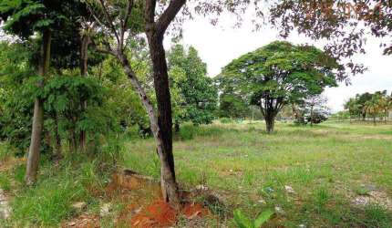 Área à venda, 13000 m² por R$ 10.000.000,00 - Vale Verde - Valinhos/SP