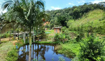 Sitio a Vende na Prainha de Mamucaba - Paraty - RJ