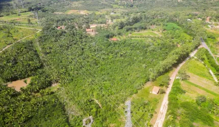 Vendo uma chacará em cajupary com 10ha - (100.000M²)