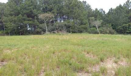 Terreno de 413,22 m², Ingleses do Rio Vermelho, Florianópolis SC