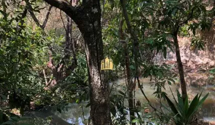 Terreno à venda em Jaboticatubas-MG, Bairro Fazenda Santo Antonio, 40.000m² de área. Venha conferir!