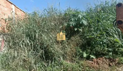 Terreno à Venda em Fernão Dias ? 450m², Plano, R$100 Mil